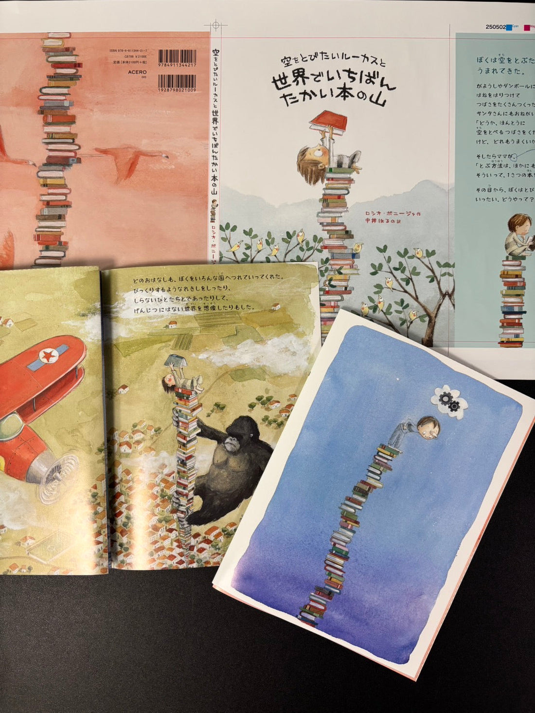 7月刊行!『空をとびたいルーカスと世界でいちばんたかい本の山』