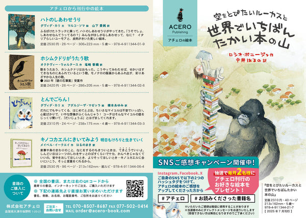 『空をとびたいルーカスと世界でいちばんたかい本の山』販促チラシ