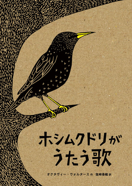 02_grande.jpg?v=1732174737